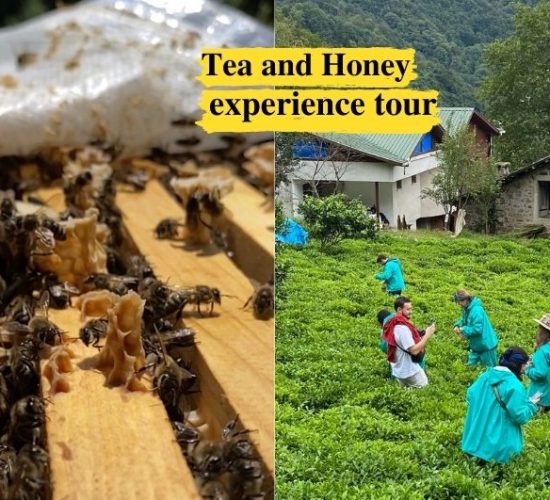 TEA and HONEY journey-experience-tour